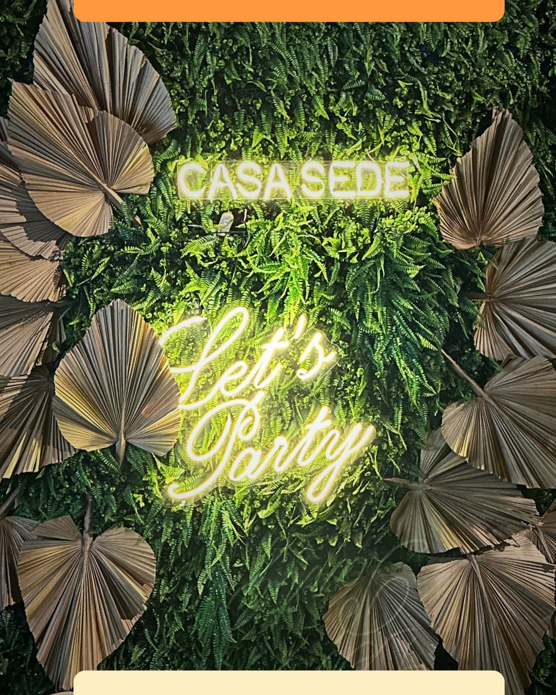 Painel luminoso Let's Party com folhagens secas e verdes